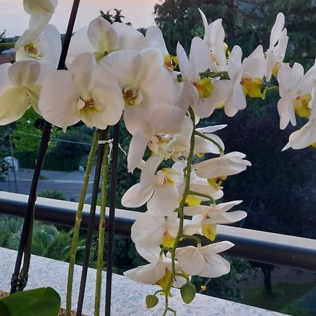 Alloggio Orchidea مونفالكوني المظهر الخارجي الصورة