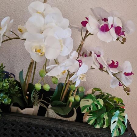 Alloggio Orchidea مونفالكوني المظهر الخارجي الصورة