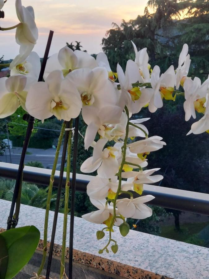 Alloggio Orchidea مونفالكوني المظهر الخارجي الصورة